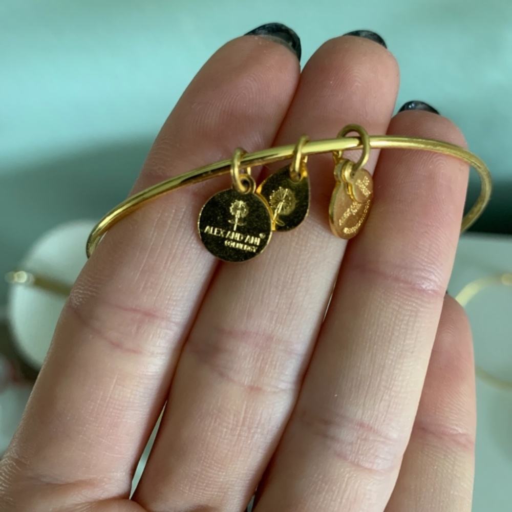 Alex & Ani Bangle Set - Picture 3 of 5